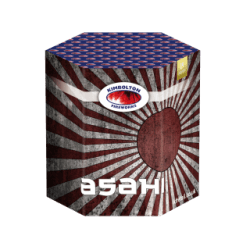 K Asahi